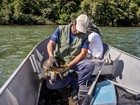 Tartaruga sobrevive após se afogar com rede de pesca, em Vitória