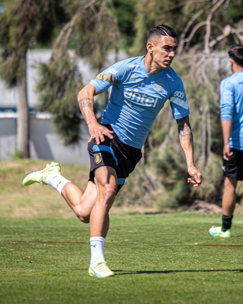 Pumita em treino da sele&ccedil;&atilde;o uruguaia &mdash; Foto: AUF
