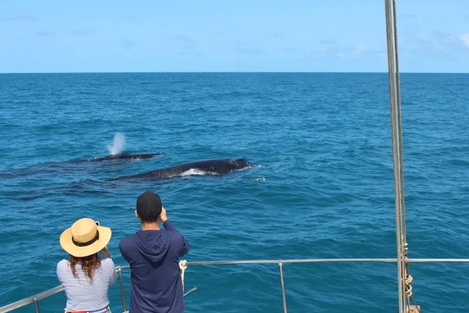Turistas observam baleias do Parque dos Abrolhos