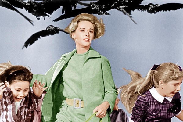 Tippi Hedren em cena de Os Pássaros (1963) (Foto: Divulgação)