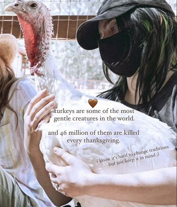 O protesto da cantora Billie Eilish pela morte de 46 milhões de perus anualmente para o Dia de Ação de Graças nos EUA (Foto: Instagram)