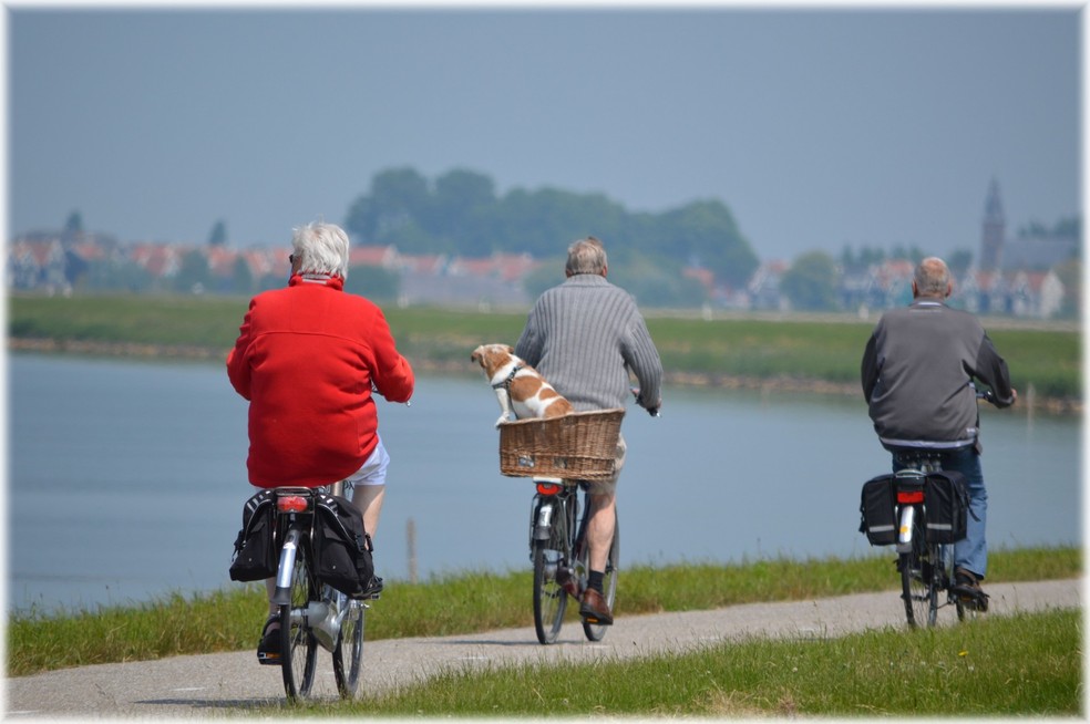 Idosos de bicicleta: a longevidade é um poderoso incentivo para pessoas de todas as idades adotarem um estilo de vida saudável  — Foto: Domínio público 
