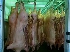 Japão reconhece carne suína de SC como livre de febre aftosa