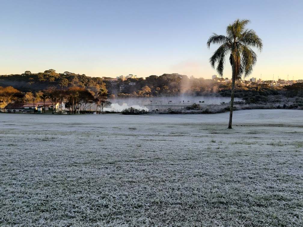 Em Campo Largo, a geada mudou a paisagem na manhã deste domingo (7)  — Foto: Everidiana Patrícia Robacher/VC na RPC 