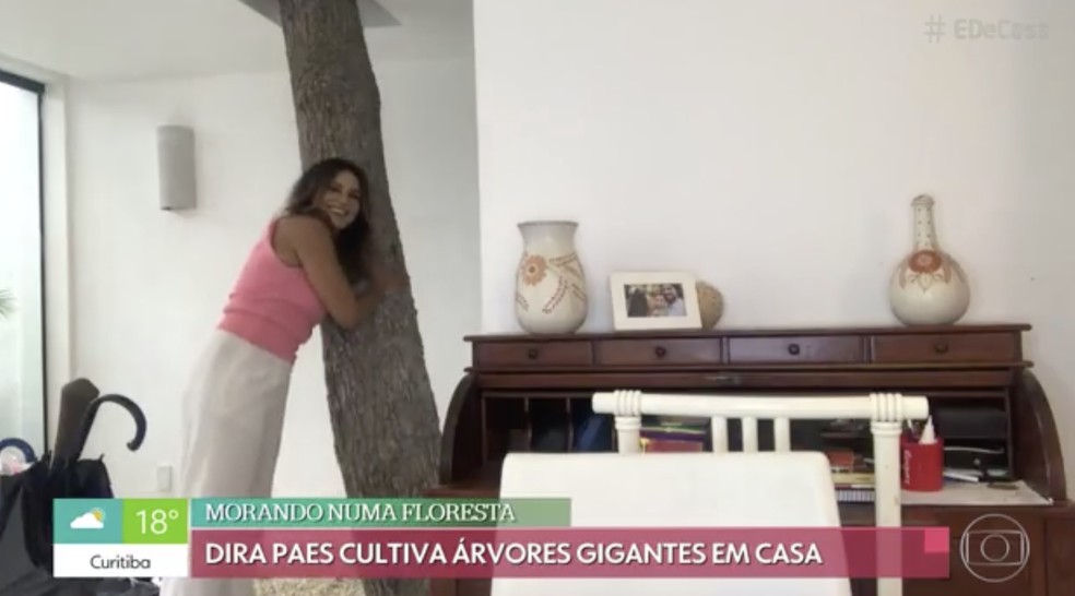 Dira Paes abraça árvores que fica no meio de sua sala -  Foto: Globo