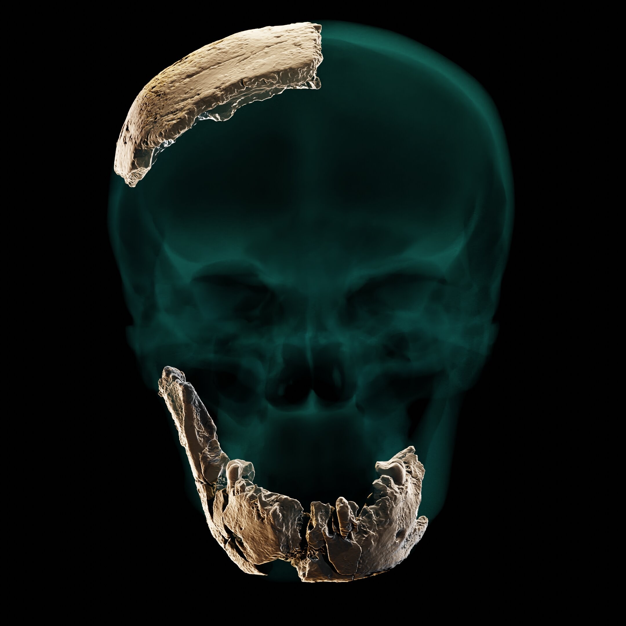 Reconstrução virtual da mandíbula e do pedaço de crânio encontrados em Nesher Ramla (Foto: Universidade de Tel Aviv)