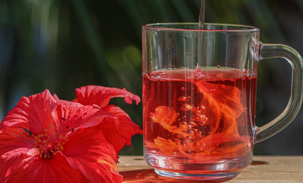 O chá preparado com flor do hibisco é diurético mas precisa de atenção quanto ao seu consumo — Foto: Reprodução da Internet
