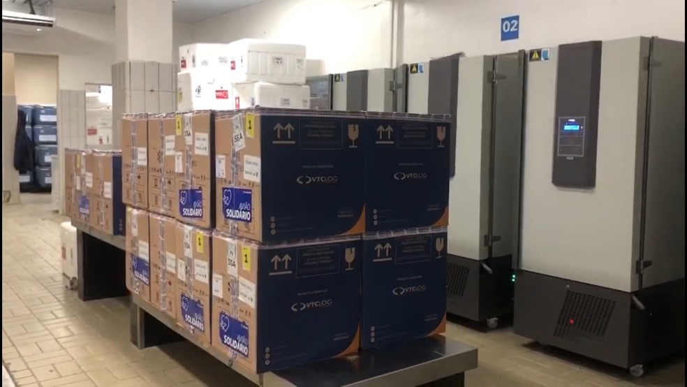 Novo lote com mais de 162 mil doses da Pfizer chega à Bahia — Foto: Divulgação / VTCLog
