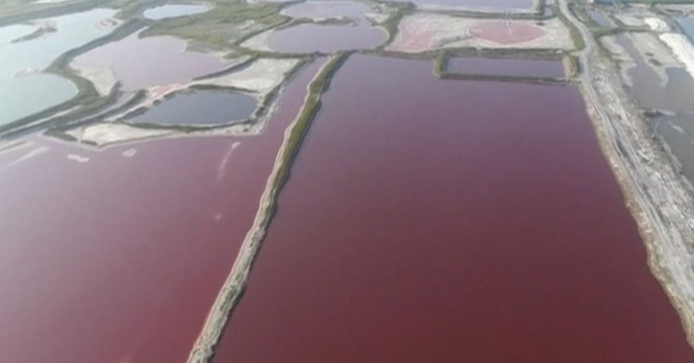 Lago na China fica avermelhado com multiplicaÃ§Ã£o de algas (Foto: TV Globo)
