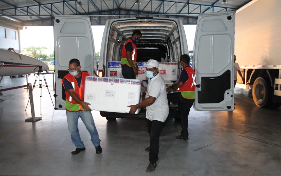 Bahia recebe novo lote com mais de 220 mil doses da vacina contra a Covid-19 — Foto: Mateus Pereira/GOVBA