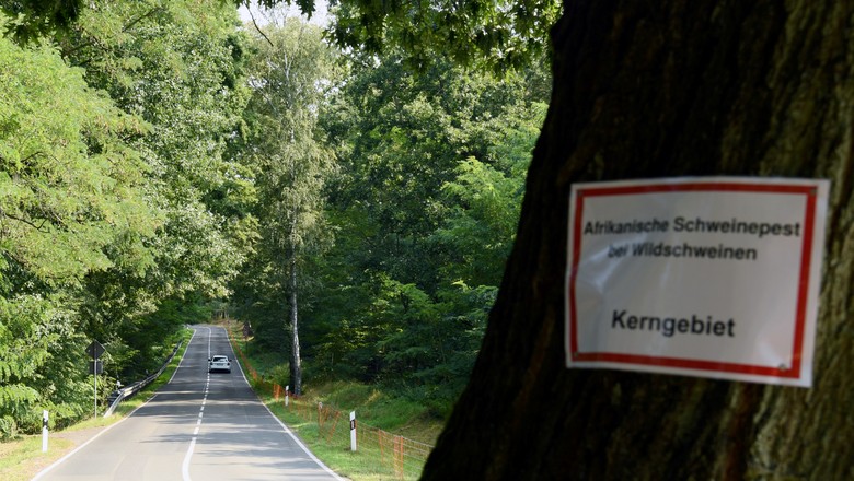 Uma nota dizendo "Peste suína africana em porcos selvagens, área principal" perto de Gross Drewitz, Spree-Neisse, Alemanha, (Foto: REUTERS/Annegret Hilse/Foto de arquivo)