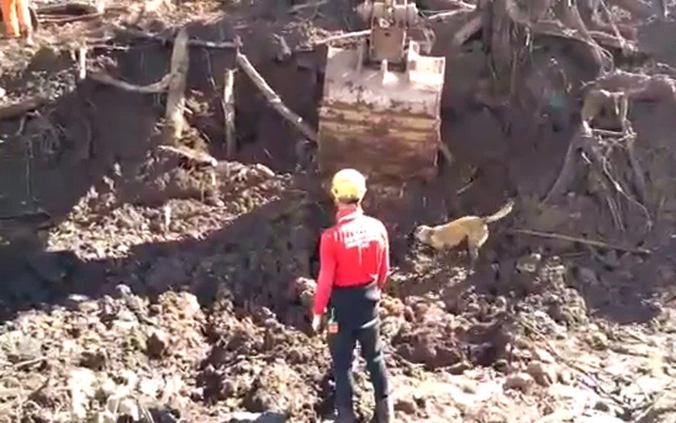 Bombeiros usam cães e máquinas na tentiva de localizar corpos em Brumadinho — Foto: Corpo de Bombeiros/Divulgação