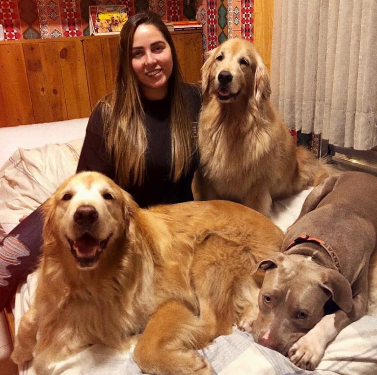 Na foto, a empreendedora Jéssica Rodrigues e seus três cachorros (Foto: Arquivo Pessoal/ Jéssica Rodrigues)