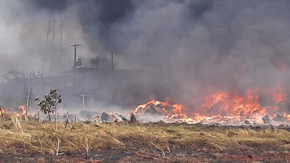 Fogo na beira de estrada se alastra e atinge depósito de materiais recicláveis em rodovia de MS — Foto: José Aparecido/TV Morena