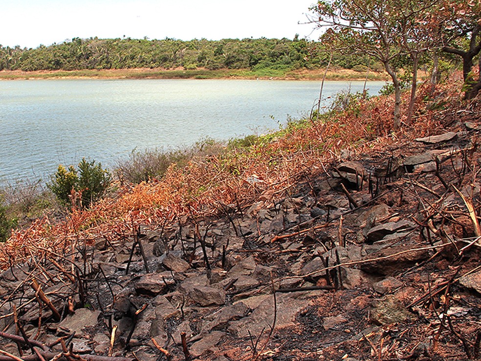 Maranhão vive situação preocupante no abastecimento de água — Foto: Fabricio Cunha