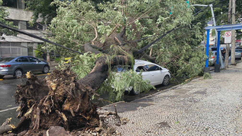 Queda de árvore na Zona Sul do Rio  — Foto: Marcos Serra Lima/g1