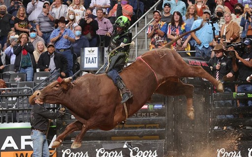 Touros enfrentam chutes e som alto em rodeios pequenos de São Paulo -  21/05/2018 - Cotidiano - Folha