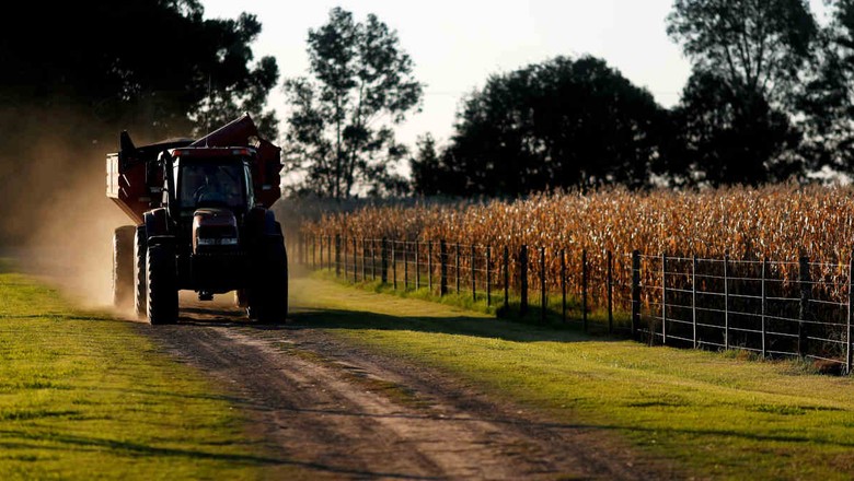 A bolsa de Buenos Aires estima colheitas recordes de milho e trigo de 57 milhões e 21 milhões de toneladas, respectivamente (Foto: REUTERS/Agustin Marcarian))