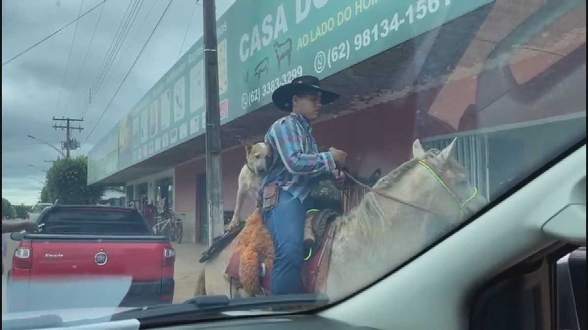 Cachorro passeia a cavalo junto com dono por rua de Alto Horizonte; vídeo | Goiás