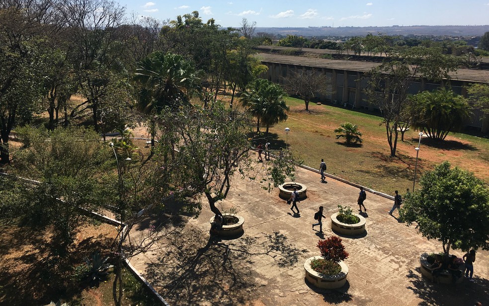 Universidade de Brasília (UnB), campus Darcy Ribeiro, na Asa Norte — Foto: Luiza Garonce/G1