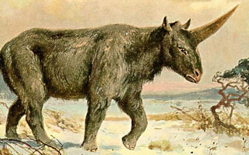 Há 29 mil anos, unicórnios siberianos andavam pela Terra - Revista ...