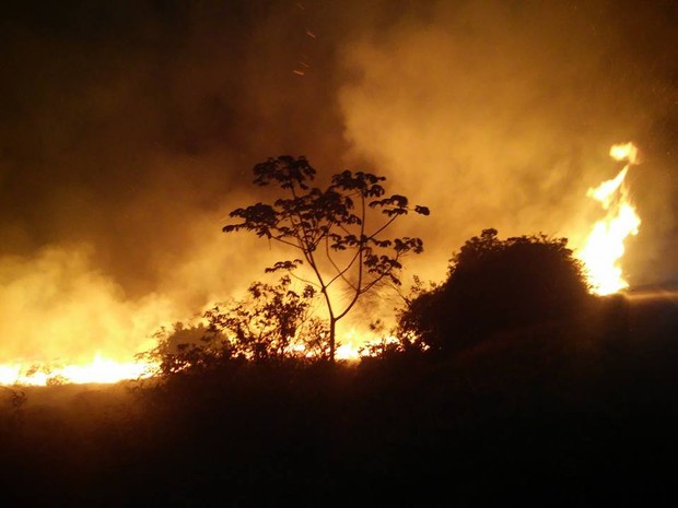 Incêndio atinge região da Chapada Diamantina nesta sexta-feira (Foto: Edmar de Lima de Carvalho/ICMBio)