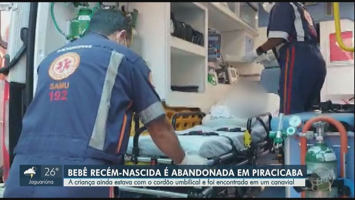Nouveau-né toujours retrouvé avec un cordon ombilical dans des champs de canne à sucre à Piracicaba |  Piracicaba et région