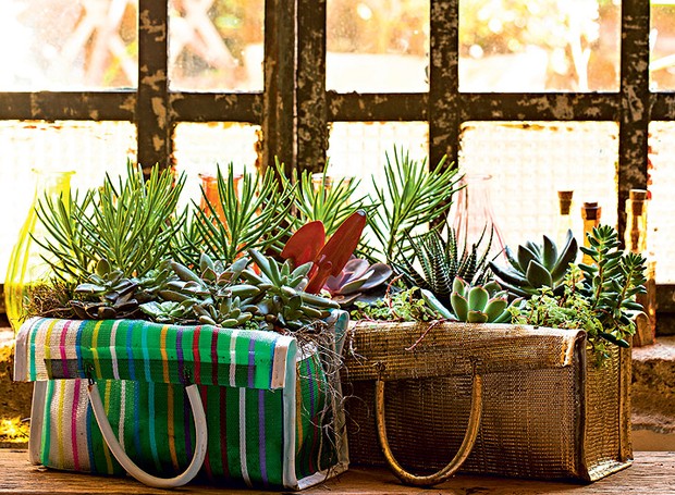Tenha uma horta, mesmo que seja simples assim, dentro de sacolas de feira. Vale a pena e a energia das plantas é incrível (Foto: Edu Castello/Editora Globo)