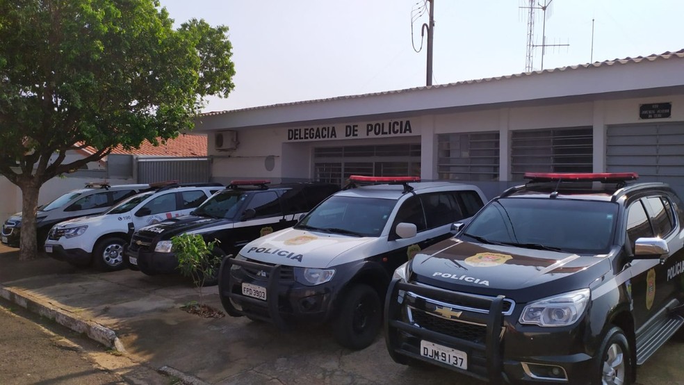 Operação Cutelo investiga crimes de furto e abate de gado em Mirante do Paranapanema — Foto: Polícia Civil