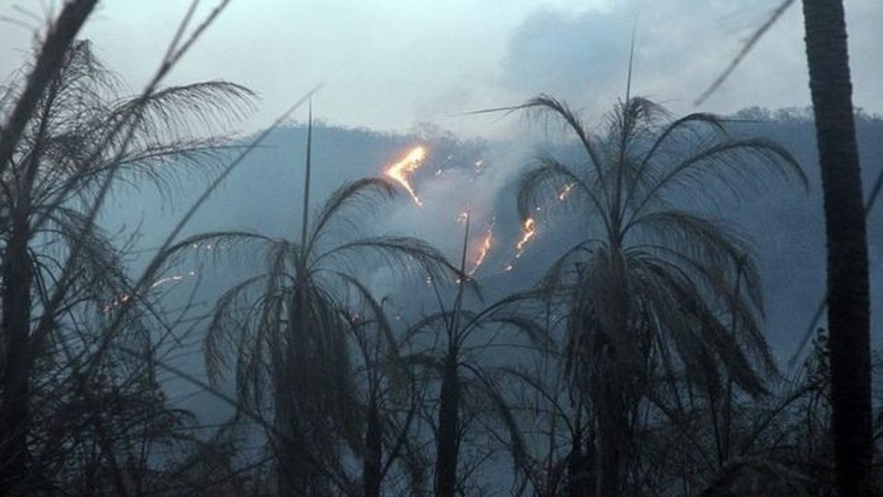 Especialistas consideram que somente chuvas intensas podem apagar completamente novos incêndios no bioma — Foto: Diogo Borges de Arruda/Governo de MS
