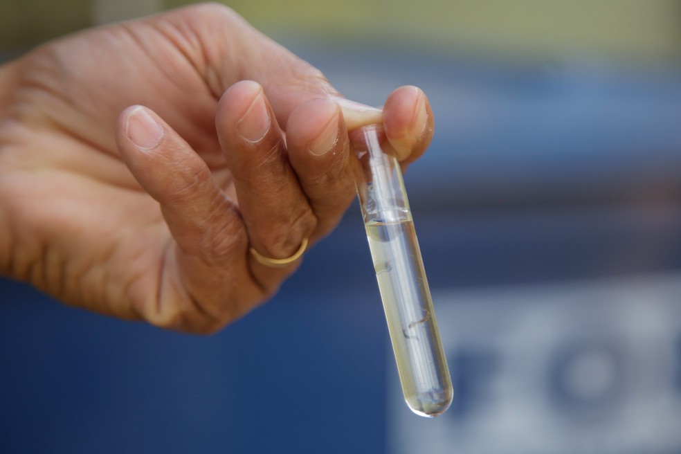 Paraná fechou o período epidemiológico da dengue com aumento de 80% no número de mortes, diz Sesa — Foto: Agência Brasília