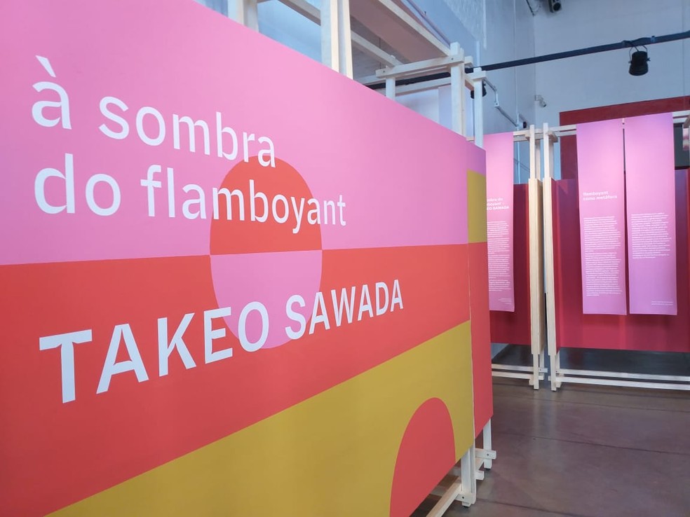 Exposição apresenta vida e obra do artista japonês Takeo Sawada, em Presidente Prudente (SP) — Foto: Heloise Hamada/g1