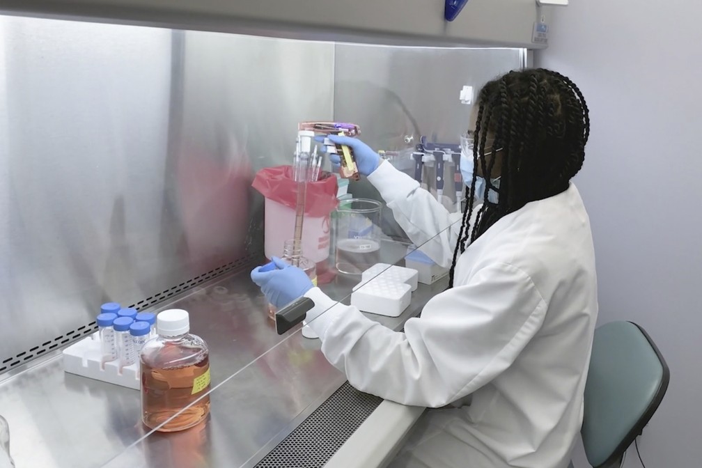 Cientista trabalha na farmacêutica Regeneron, que desenvolve coquetel experimental para tratamento da Covid com uso de anticorpos. — Foto: Regeneron via AP