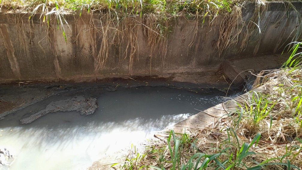 Moradores reclamam de esgoto a céu aberto em parque ecológico na região dos bairros Parque São Matheus e Parque São Lucas, em Presidente Prudente (SP) — Foto: Cedida