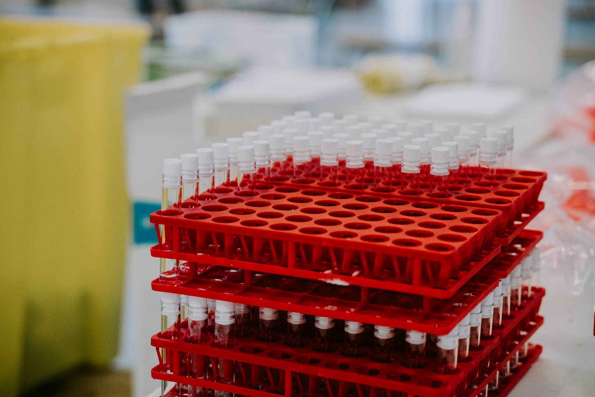 Anvisa aprova testes de duas novas vacinas contra Covid-19 (Foto: Mat Napo/Unsplash)