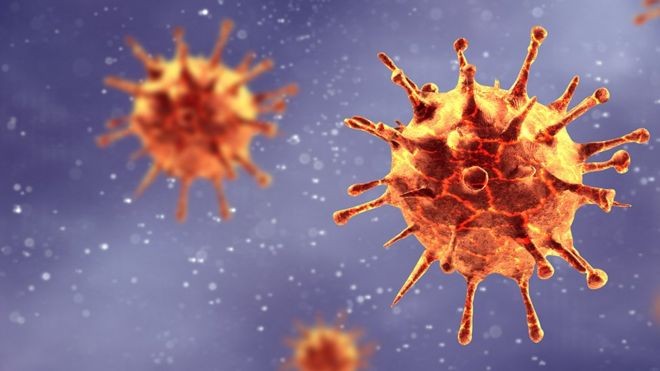 Especialistas concordam que nunca havia se visto um vírus como o SARS-CoV-2 (Foto: Getty Images via BBC News Brasil)