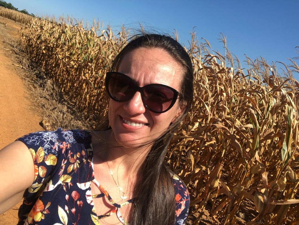 Na rotação de cultura é plantado milho, milheto para cobertura e braquiária para integração lavoura e pecuária. — Foto: Antonielly Rottoli/Arquivo pessoal