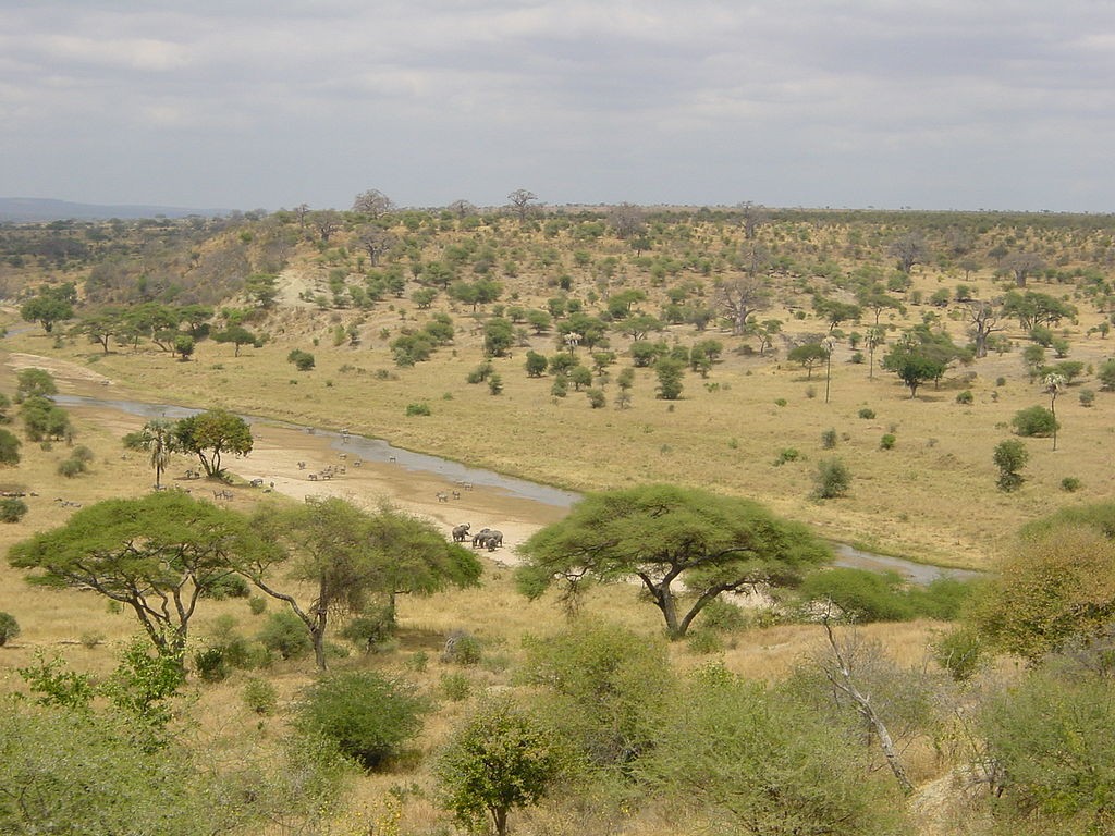 Parque Nacional de Tarangire, na Tanzânia (Foto: Wikimedia Commons)
