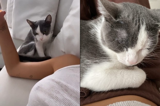 Bruna Marquezine mostra chamego com a gata, Mia (Foto: Reprodução/Instagram)