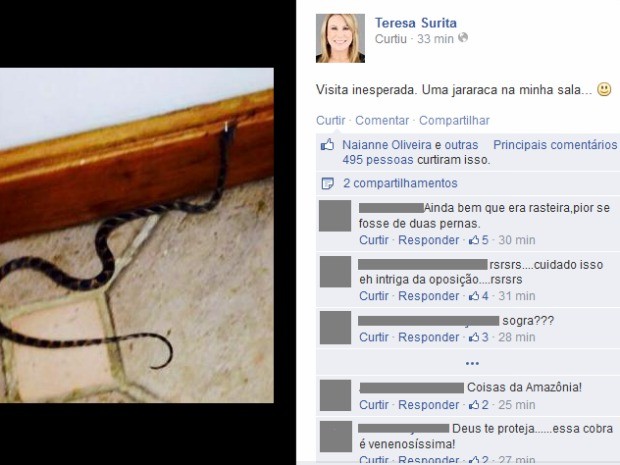 Prefeita de Boa Vista encontra filhote de jararaca  (Foto: Reprodução/Facebook)