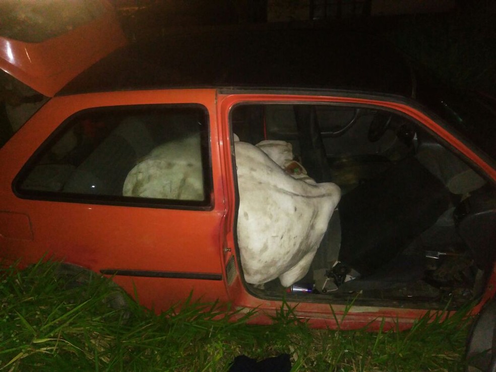 Animal foi retirado de dentro de carro após ter sido furtado em SC (Foto: Divulgação/Polícia Militar)