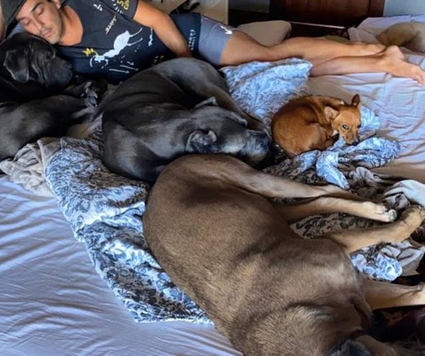 André Marques com seus cachorros (Foto: Reprodução/Instagram)