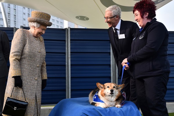 Rainha Elizabeth II em evento de 2015, admirando cão da raça Corgi (Foto: Getty Images)