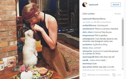 6ª Taylor Swift e sua gata fazendo a pose de um suricato