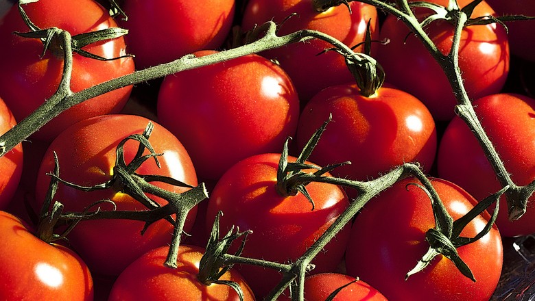 tomate-hortifruti-fruta (Foto: Liz West/CCommons)