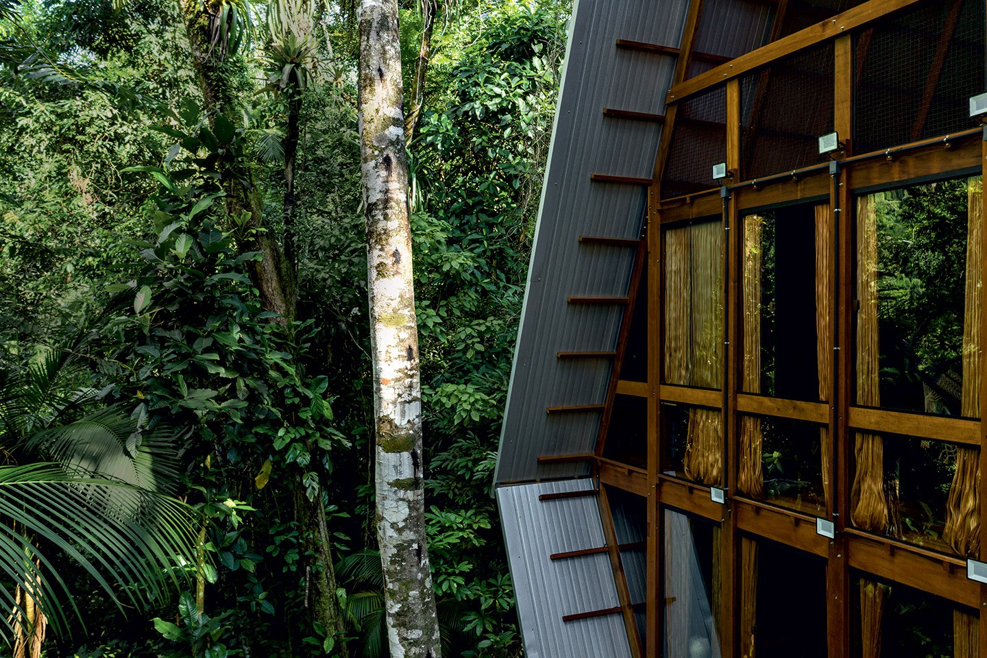 Casa imersa na floresta de Paraty aposta na biomimética e transforma a natureza em seu entorno (Foto: Fran Parente)