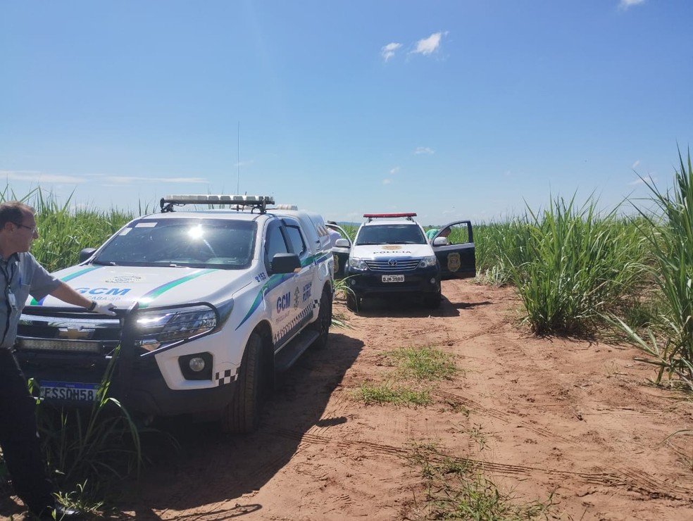 Corpo de homem é localizado em canavial às margens da SP-147 em Piracicaba — Foto: Guarda Civil Metropolitana/Divulgação
