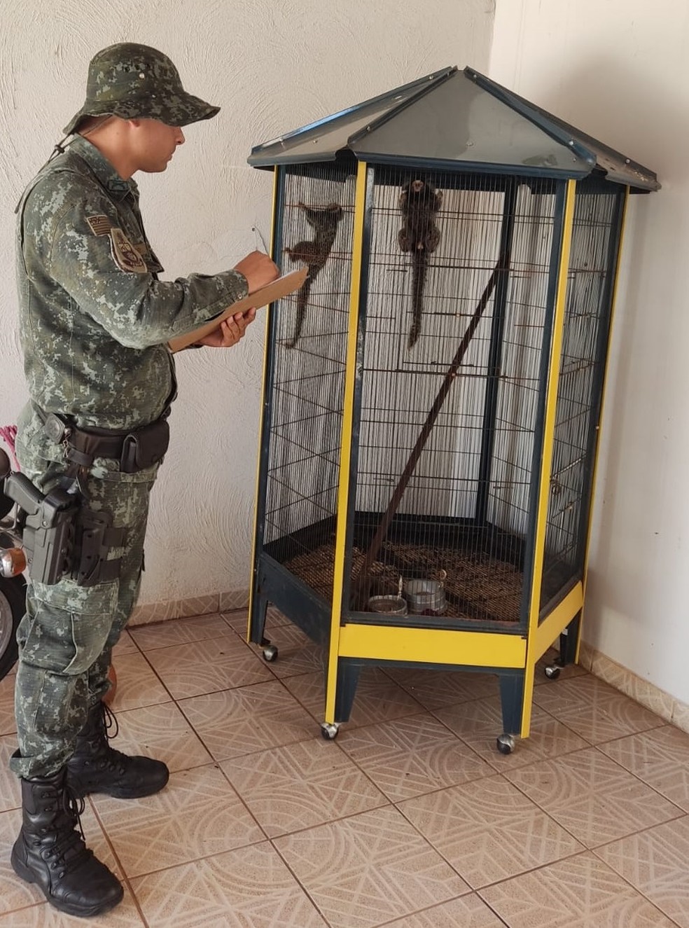 Homem é multado em R$ 1 mil por manter saguis em cativeiro, em Presidente Prudente (SP) — Foto: Polícia Ambiental