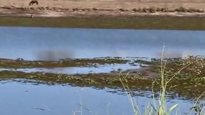 mirandopolis adota racionamento de agua morador que descumprir medida pode ser multado sao jose do rio preto e aracatuba g1