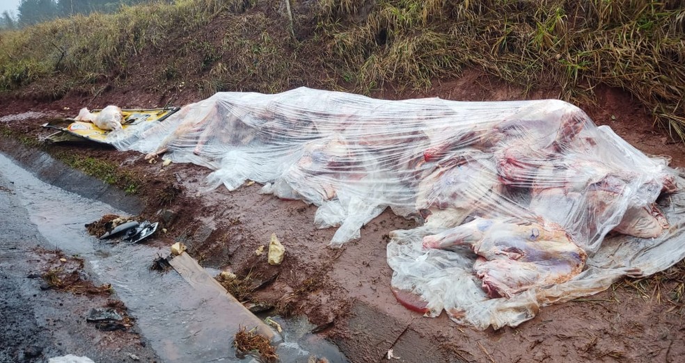 Caminhão carregado com dezenas de peças de carne tomba em Águas de Santa Bárbara  — Foto: Arquivo Pessoal